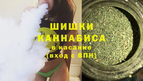 амф Липки
