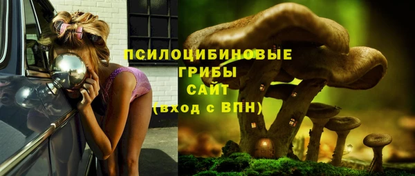 соль ск Шадринск