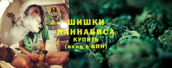 spice Лиски