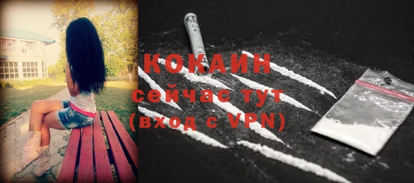 амф Липки